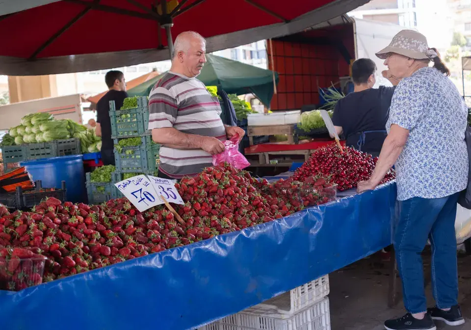 Exploring Citrus Heights, CA with Peace of Mind in Citrus Heights